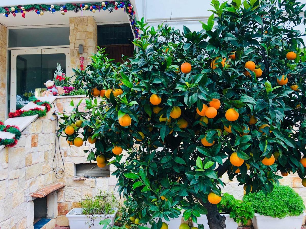 Dream & Relax Villa Fiore Bari Exterior foto